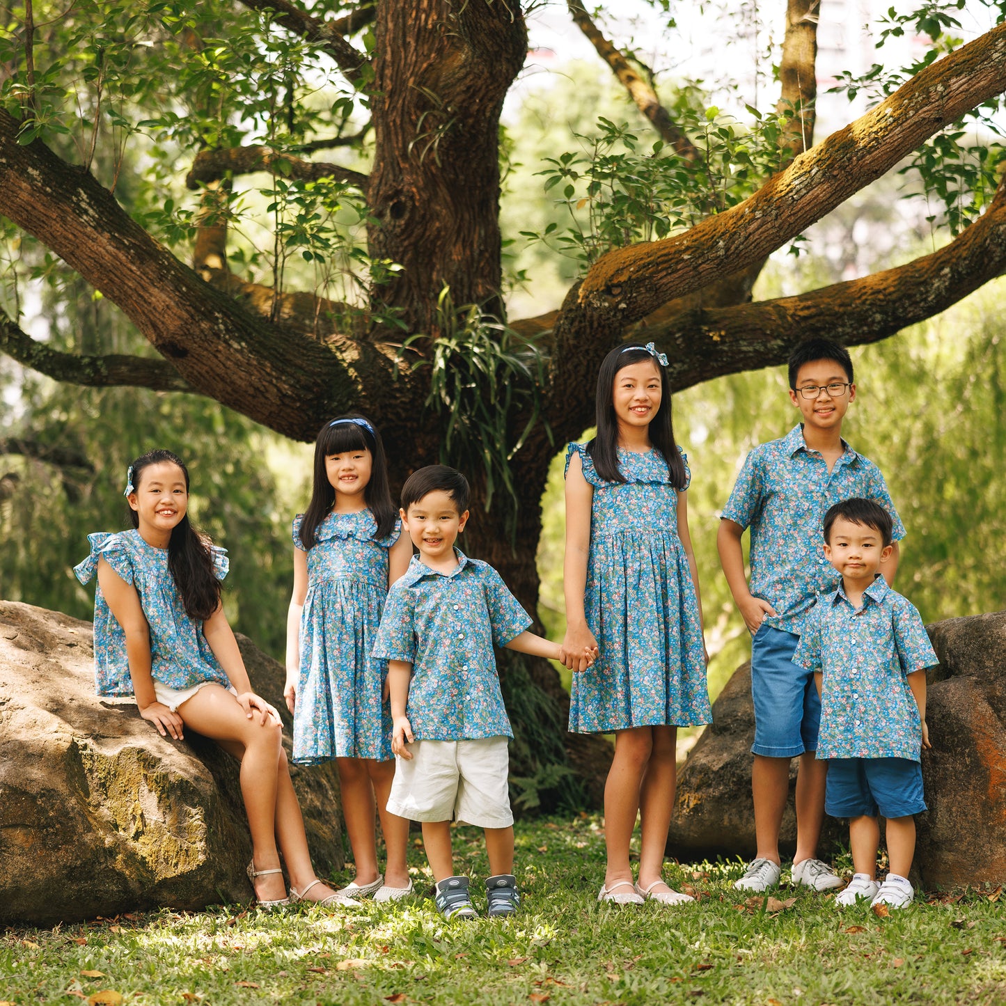 Bluewood Briar Shirt