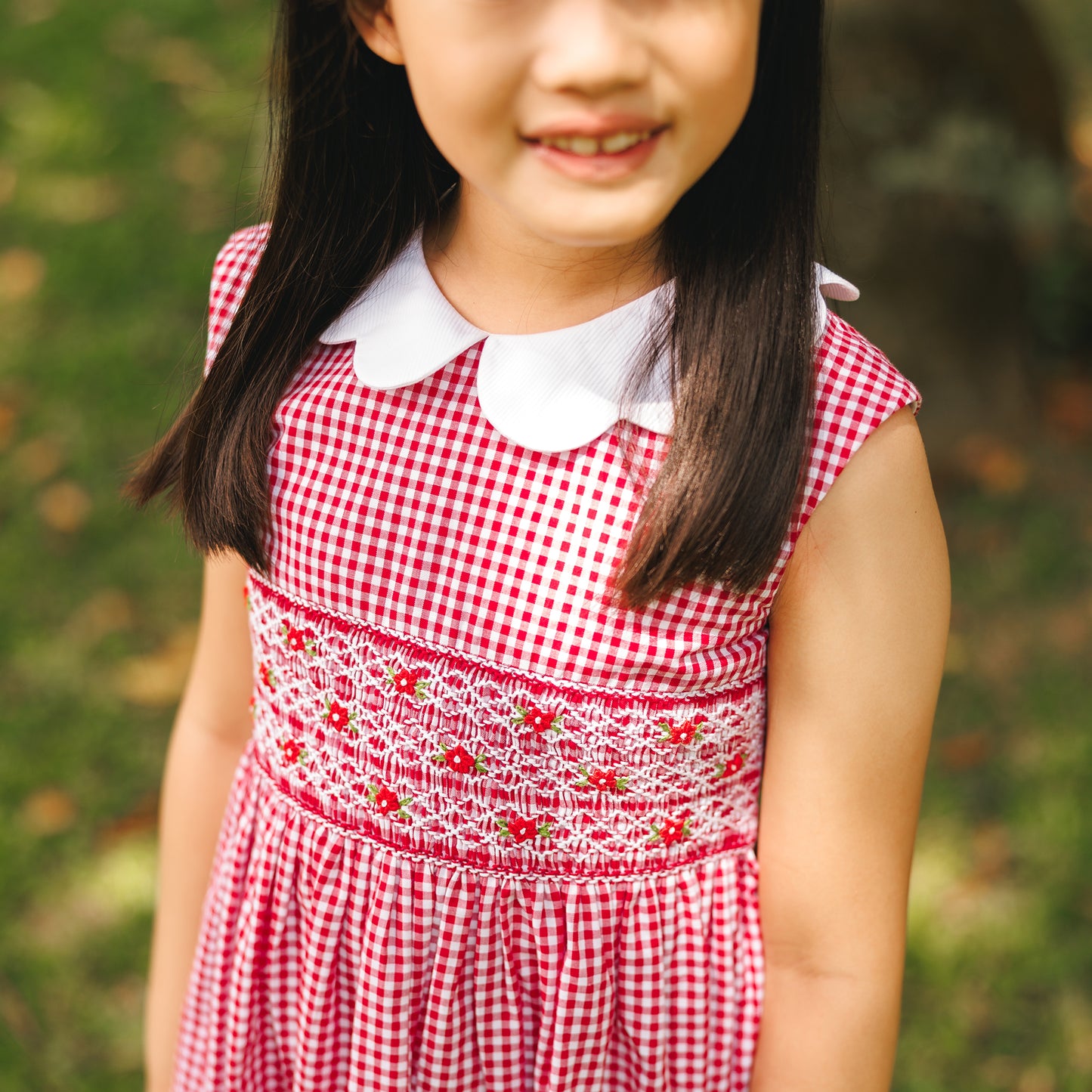 Regal Gingham Smocked Dress