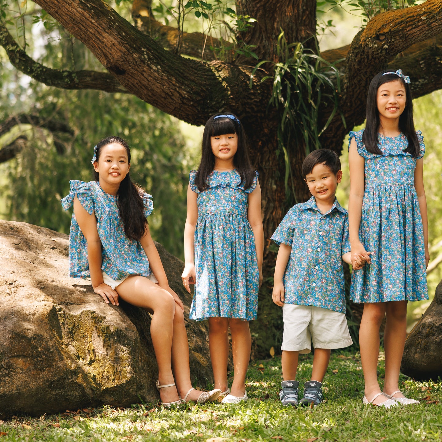 Bluewood Briar Ruffled dress